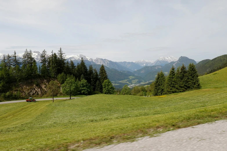 a scenic picture with grass, trees, and mountains in the background