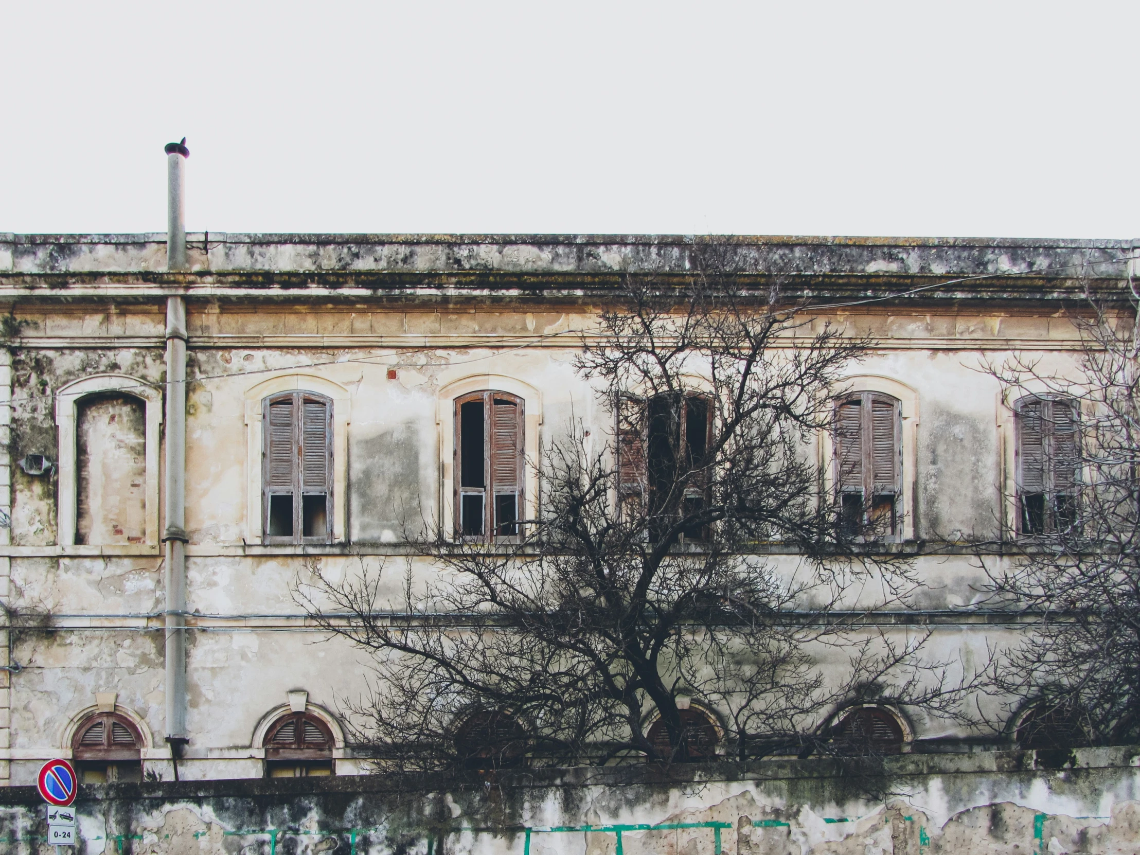 a tree in front of an old brick building