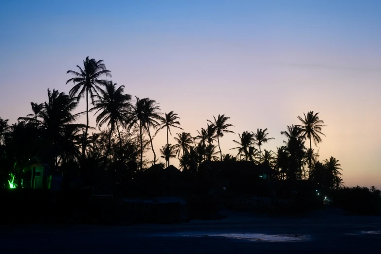 a sky view of palm trees and buildings with green lights