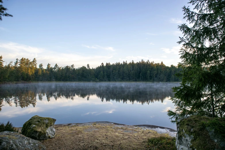 a lake surrounded by trees and surrounded by grass