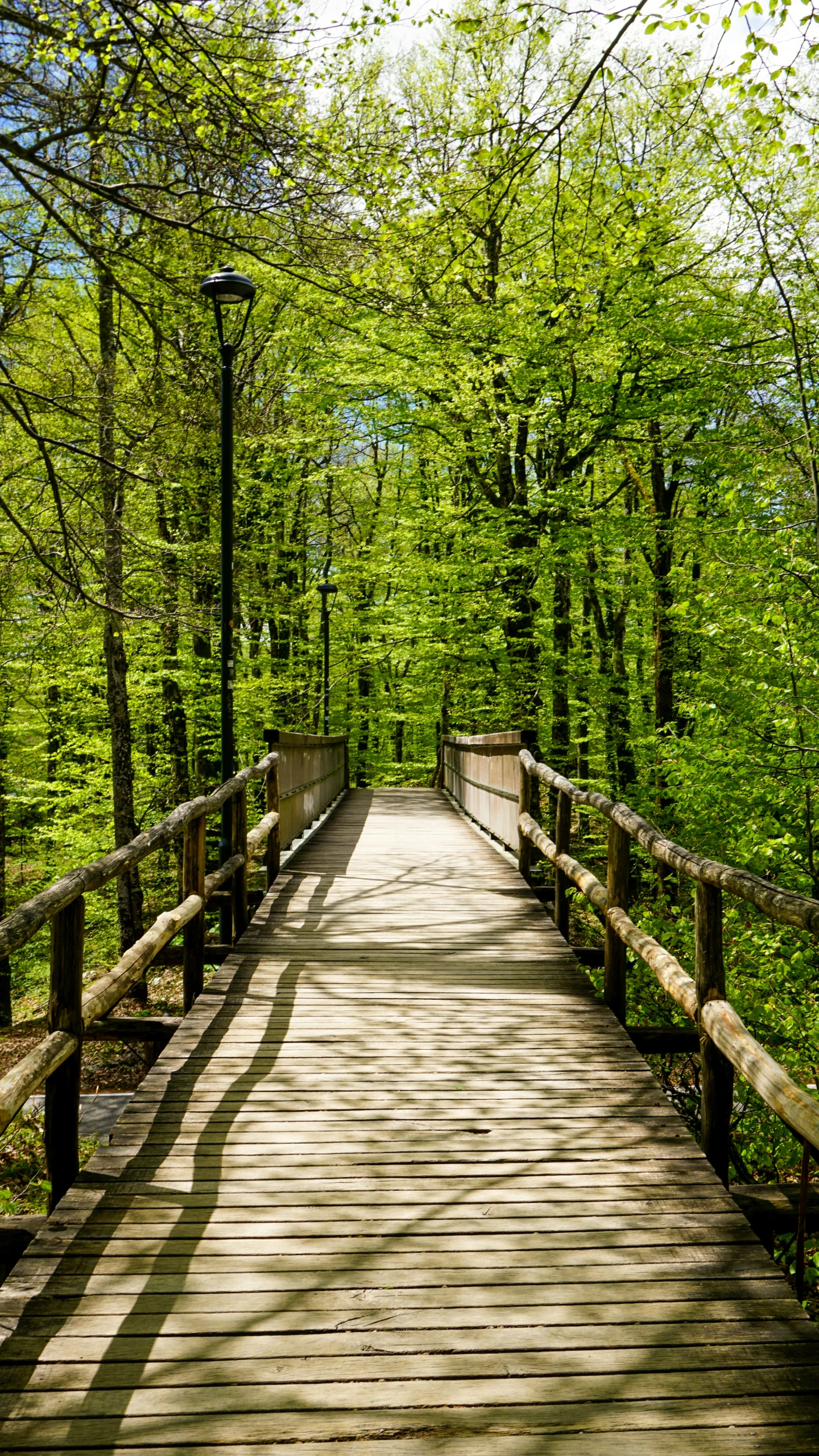 a wooden walkway with a light pole and green trees