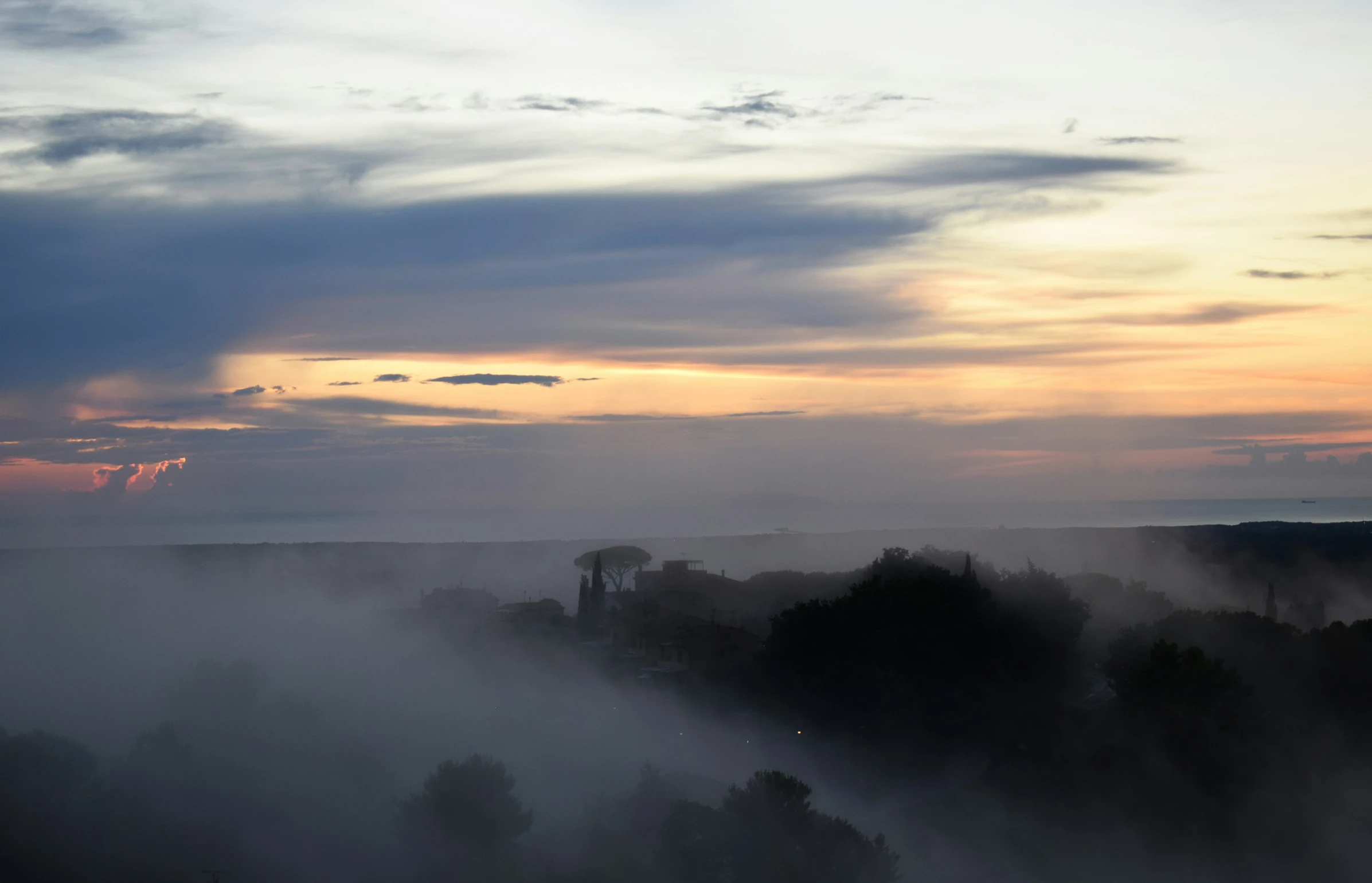 a view of some trees in a fog