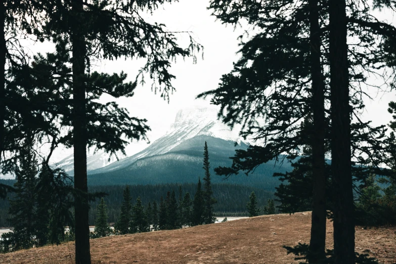 a mountain is seen through the trees, near a field