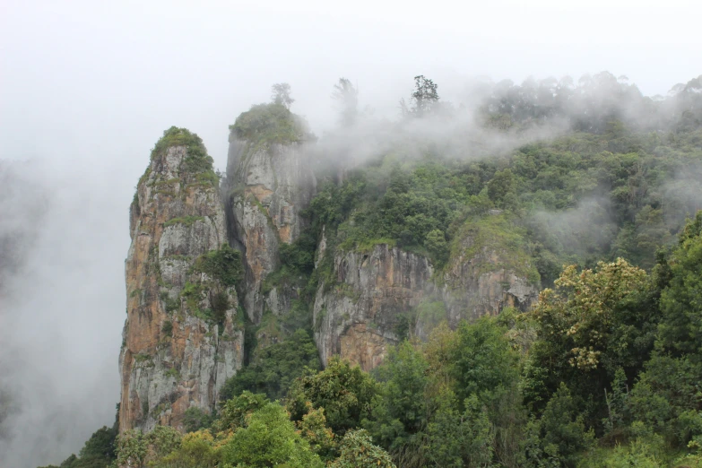 thick, fogy mountain with green trees, rocks and thick fog