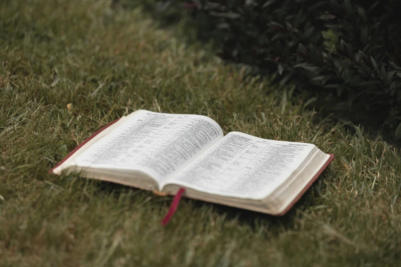 a open book sitting on top of a lush green field