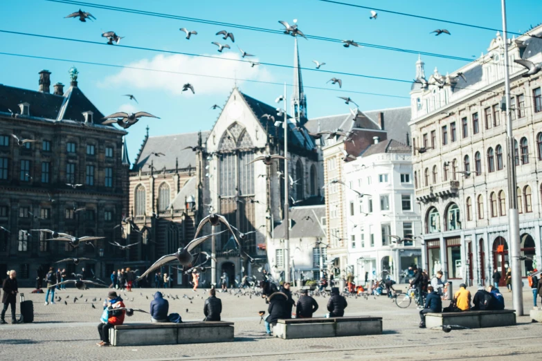 people are sitting on benches and pigeons in the sky