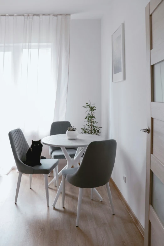 a white table with two gray chairs and a black cat on top