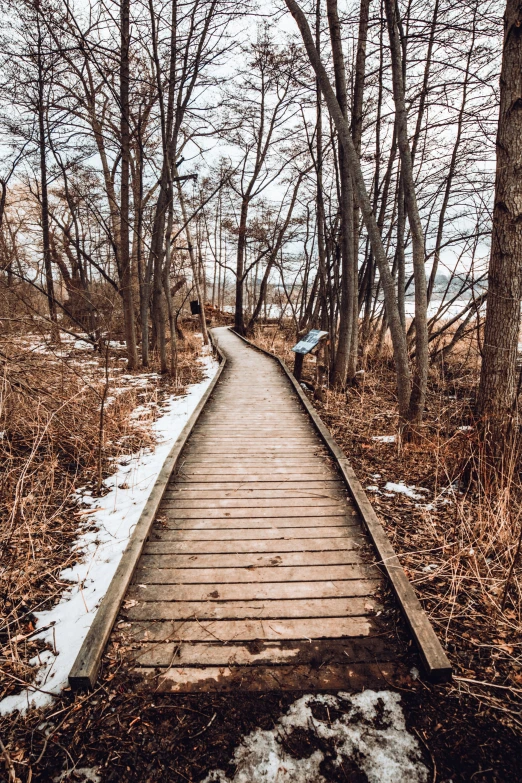 a wooden trail with snow covering the ground and trees lining it