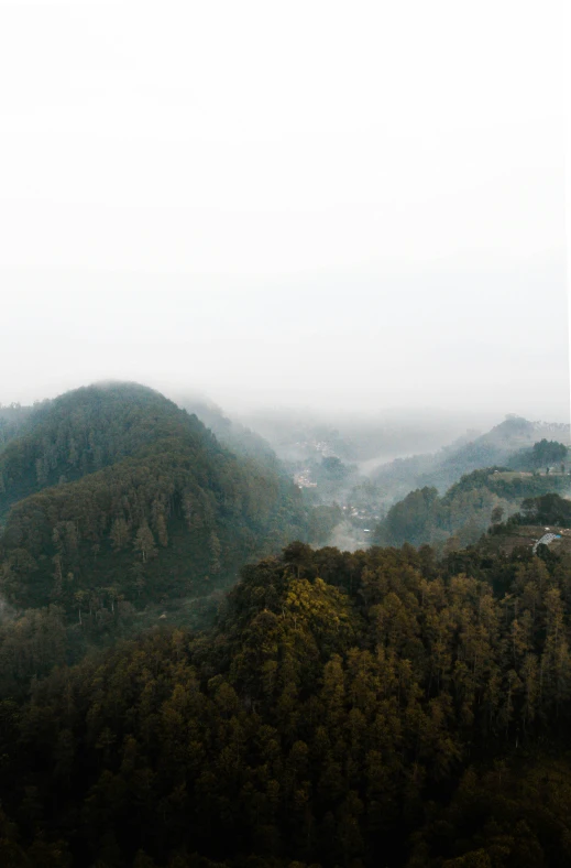 an airplane flying over a forest covered mountains