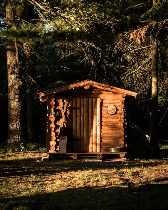 a shed in the middle of some trees