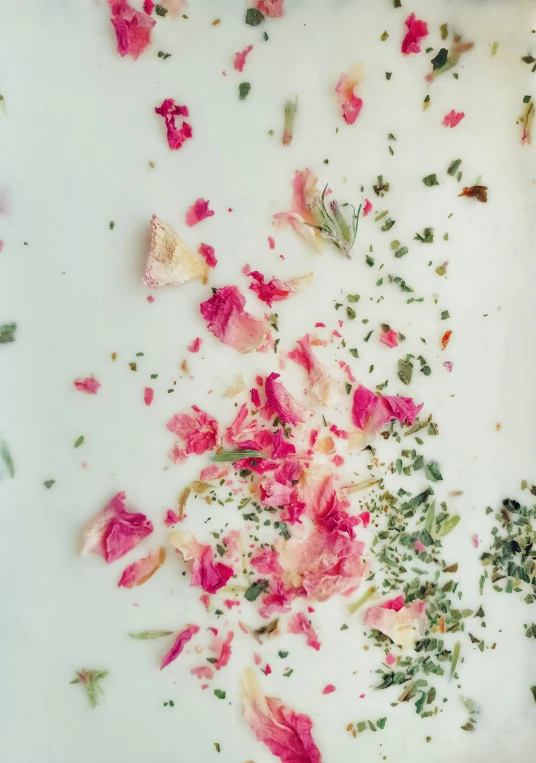 petals, buds and leaves scattered on the surface