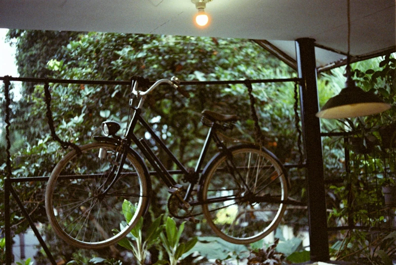 a bicycle hanging on a fence, with flowers growing around it