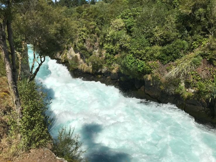 a river flows over rocks in a forested area