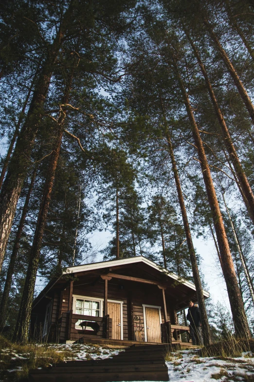 a cabin is in the woods surrounded by tall trees