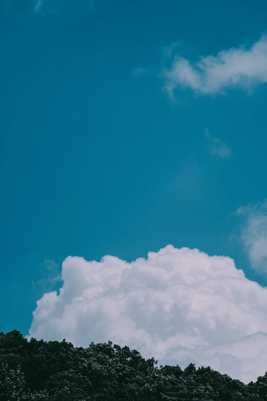 a bird flying high up on a cloud filled sky