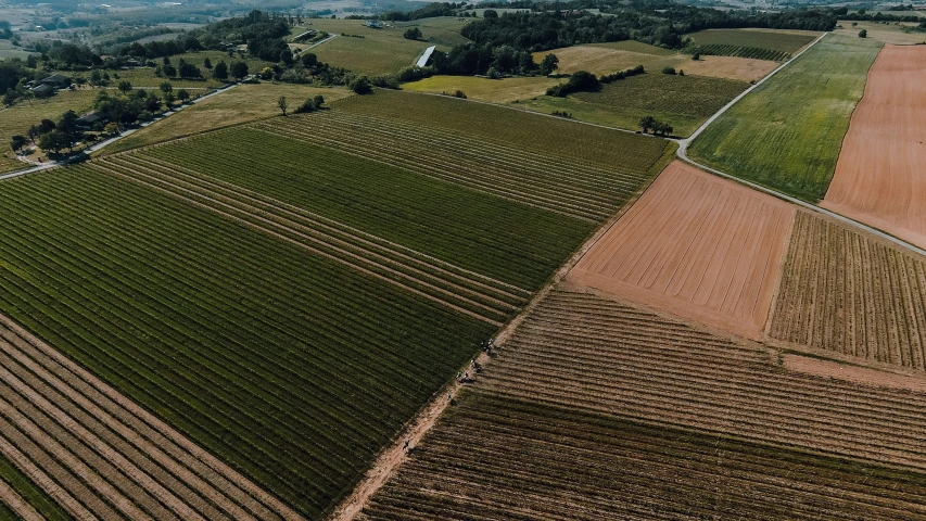 an aerial view of farm land in the distance