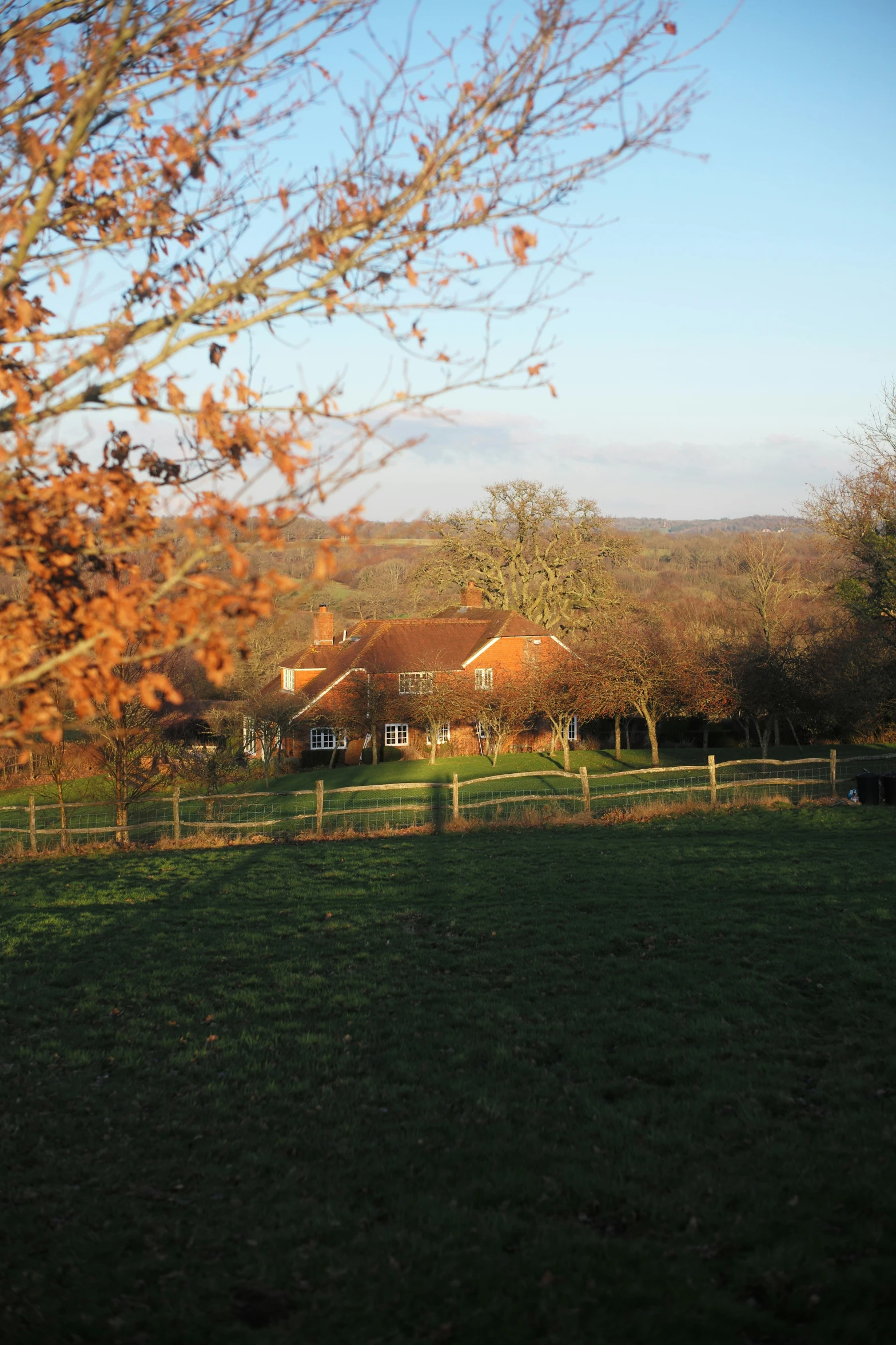 a pasture on the horizon of the houses and trees