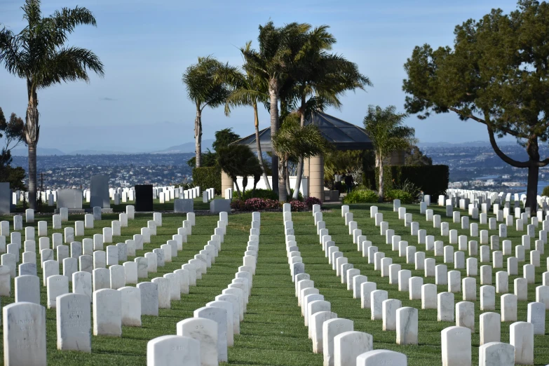 rows of graves and trees on the side of a hill