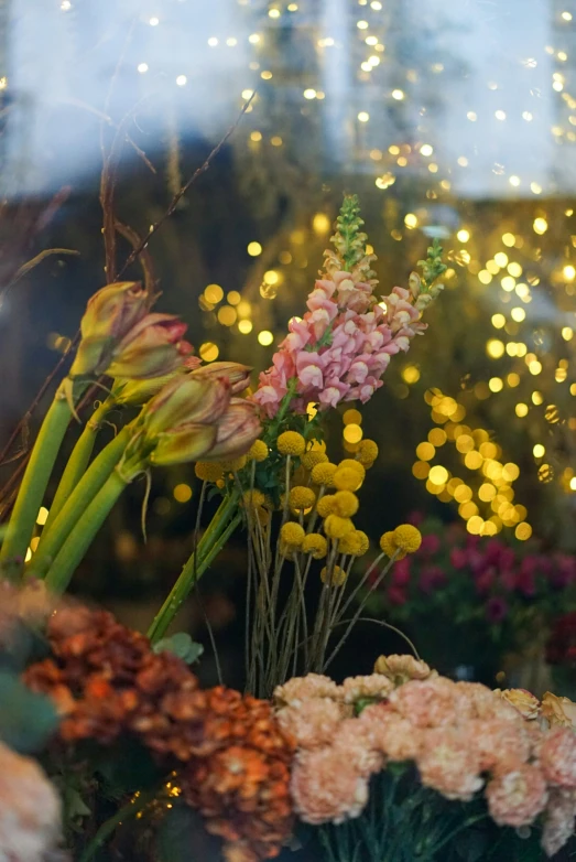 flowers and lights seen through the window of a building