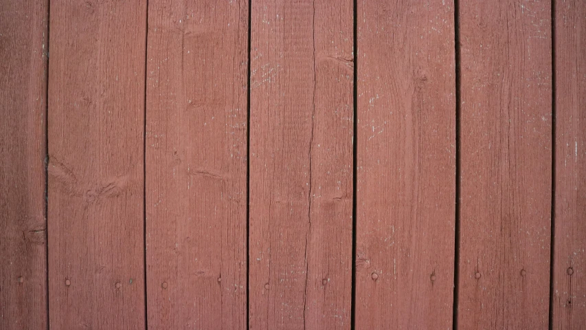 a cat is standing on top of a wood fence