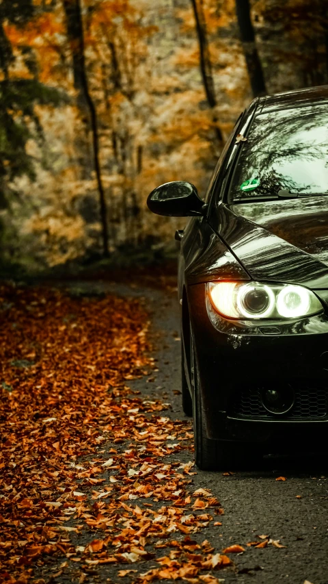 a close up of a car parked on the street in the autumn