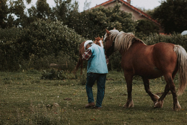 a person is petting a horse in the field