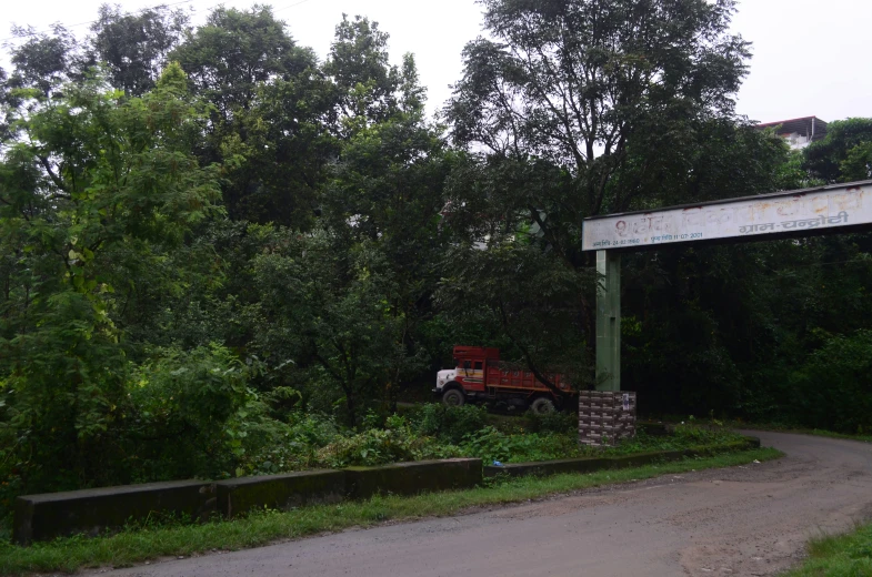 truck in an alley between two roads in a forest