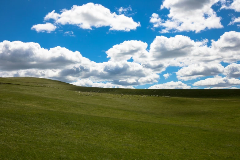 a beautiful green hill covered in sheep under a blue sky