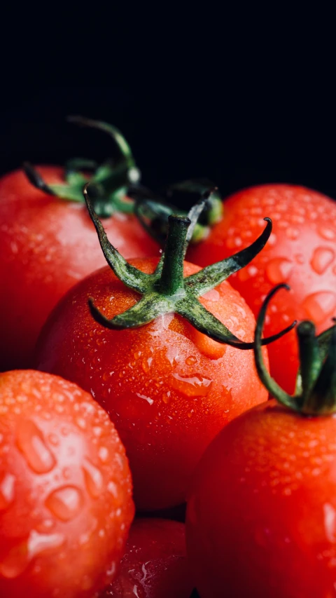 several tomatoes with dew on them on a black background