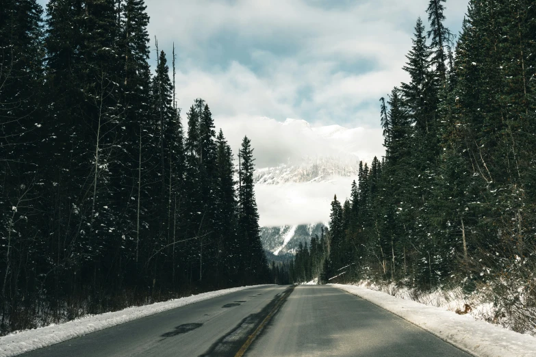 a car driving on an empty road in the woods