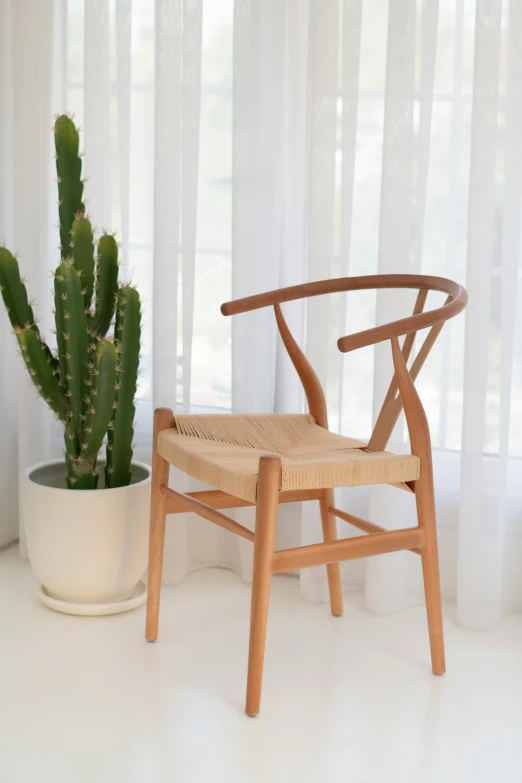 a wooden chair is sitting in front of a cactus