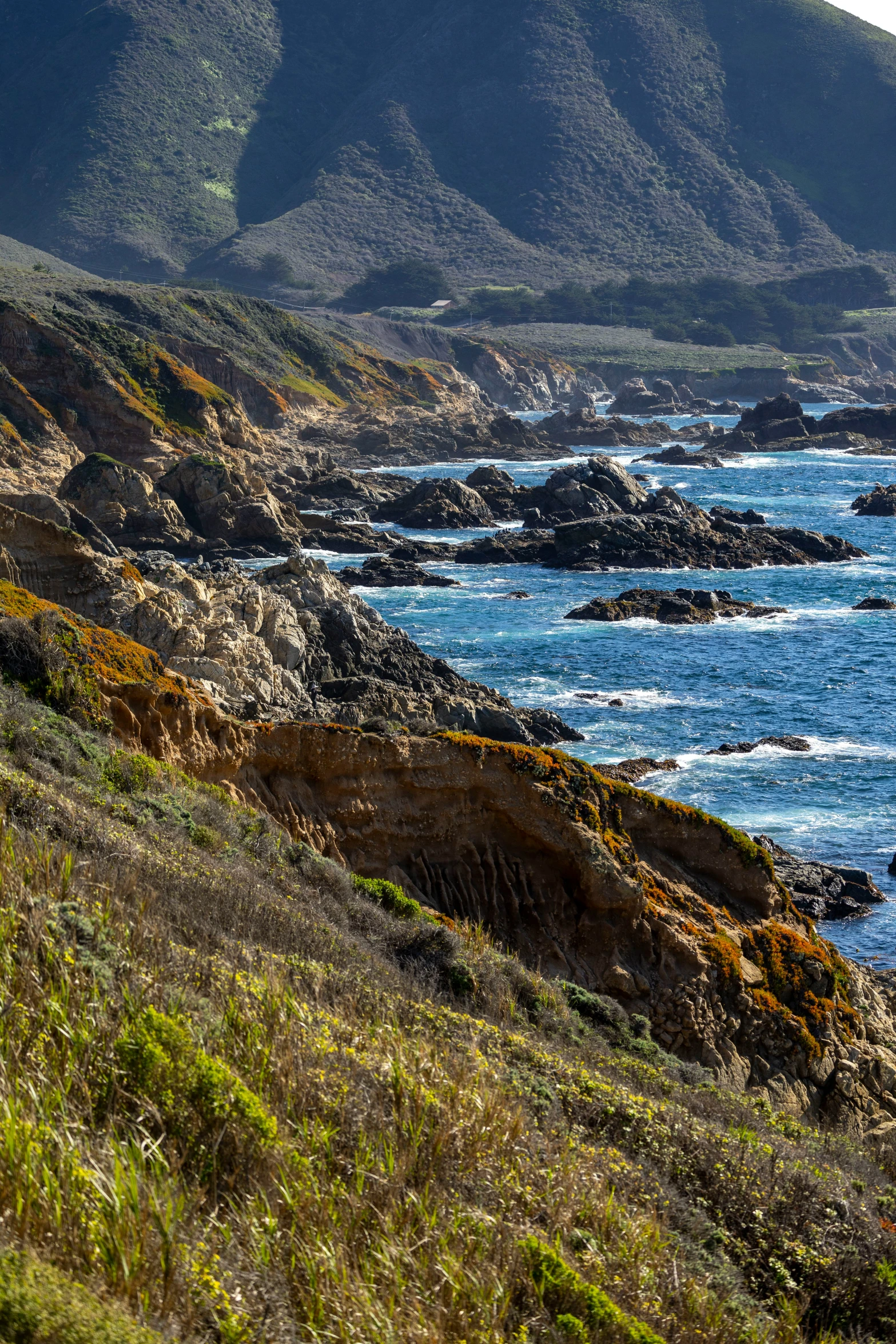 an ocean view of green bushes and mountains