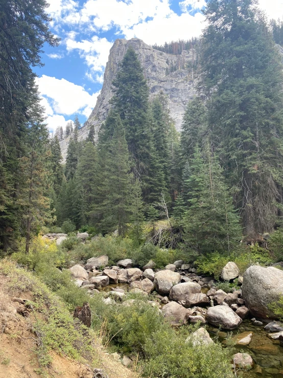 a scenic landscape po of a rocky river and forest