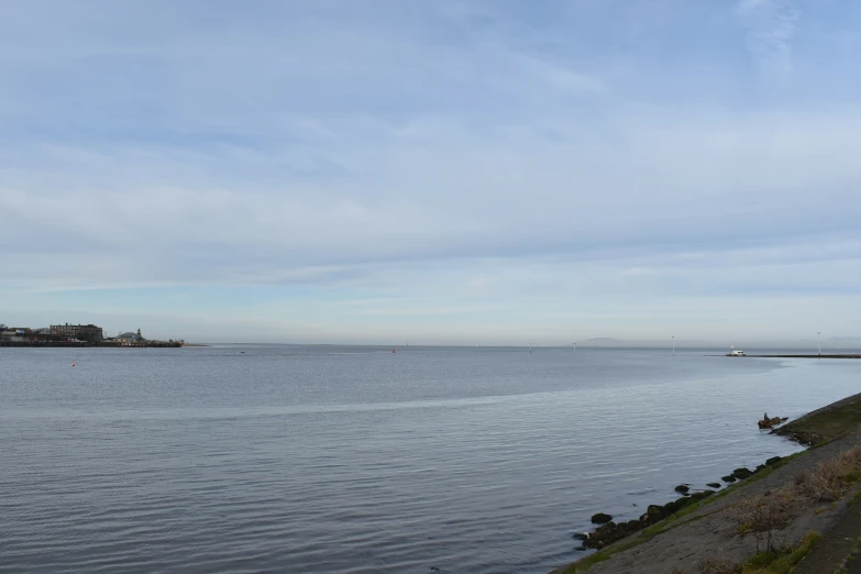 a lone bird is sitting on a fence by the water