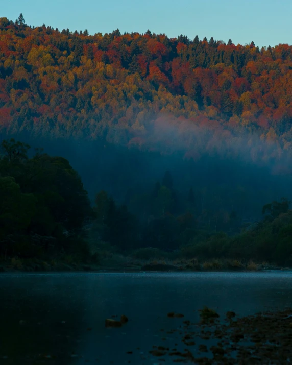 trees in autumn are standing near a lake