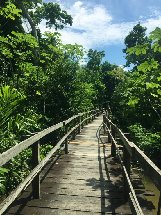 a bridge over water with wooden support system