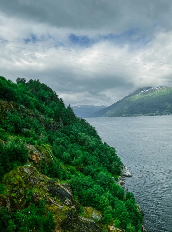 the green trees on the side of a hill by a large body of water