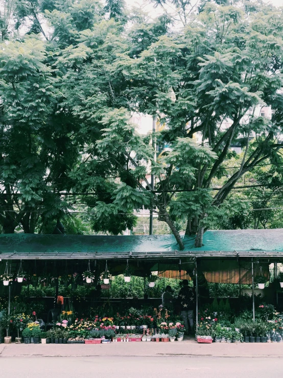 green house with flower arrangements on the sidewalk