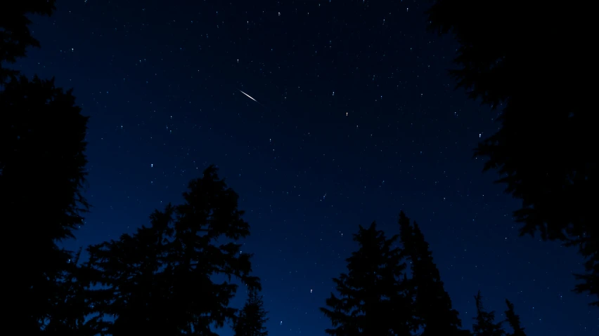 a night time picture shows the sky, trees, and stars