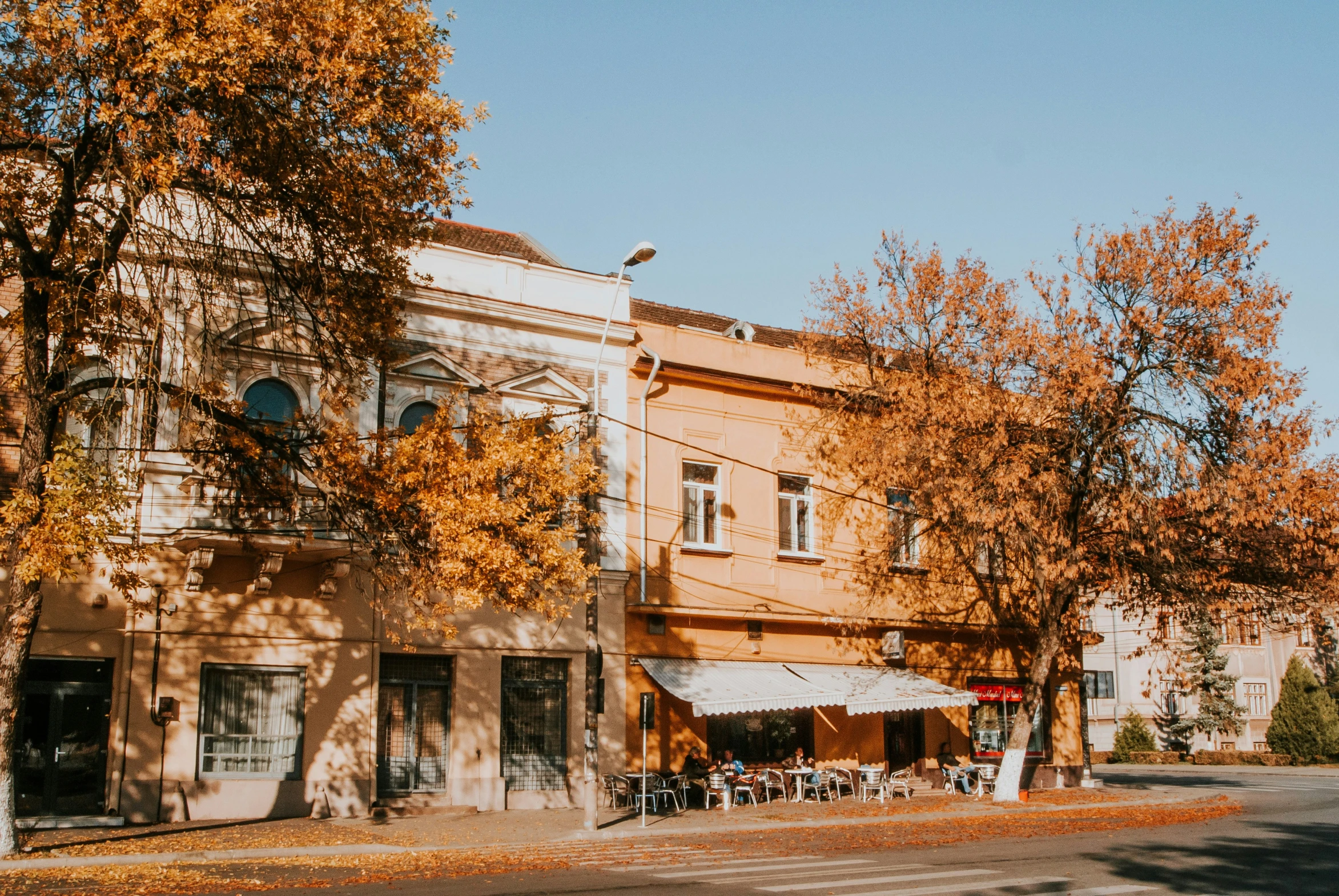 a row of shops with autumn leaves on trees in front