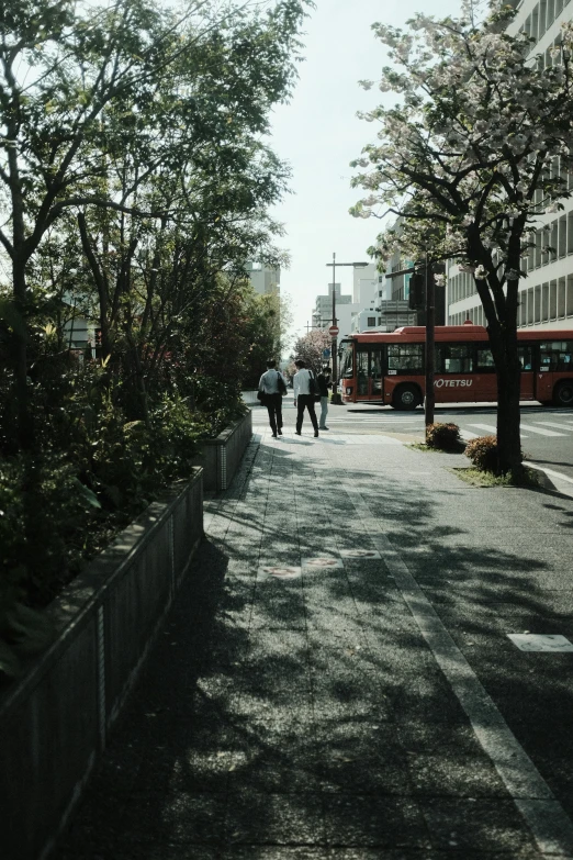 two people walking down a tree - lined street