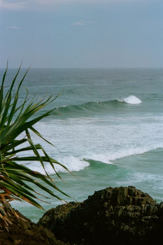 a group of men surfing waves on a nice day