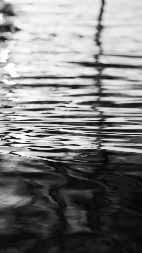 a black and white pograph of water reflecting lights