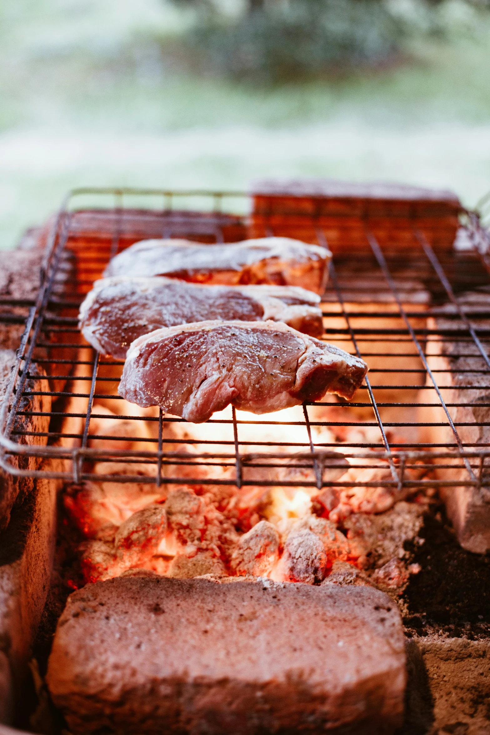 a bbq filled with assorted meat cooking on a grill