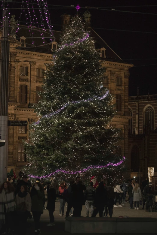 a large group of people standing in front of a christmas tree