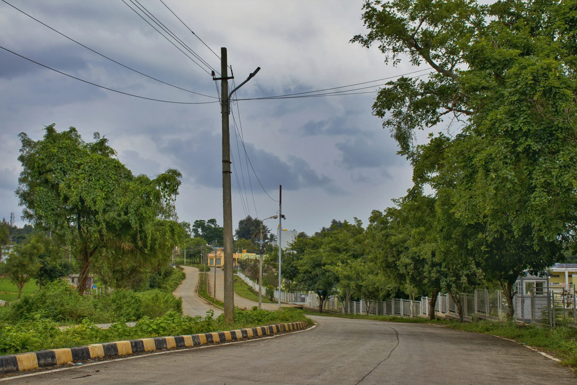 a rural street is surrounded by lush trees