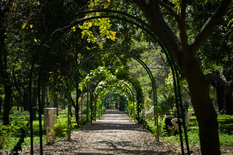 a path is pictured through the archways to a park