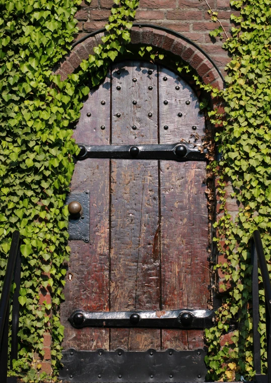 an old wooden door is shown with vines growing all around it