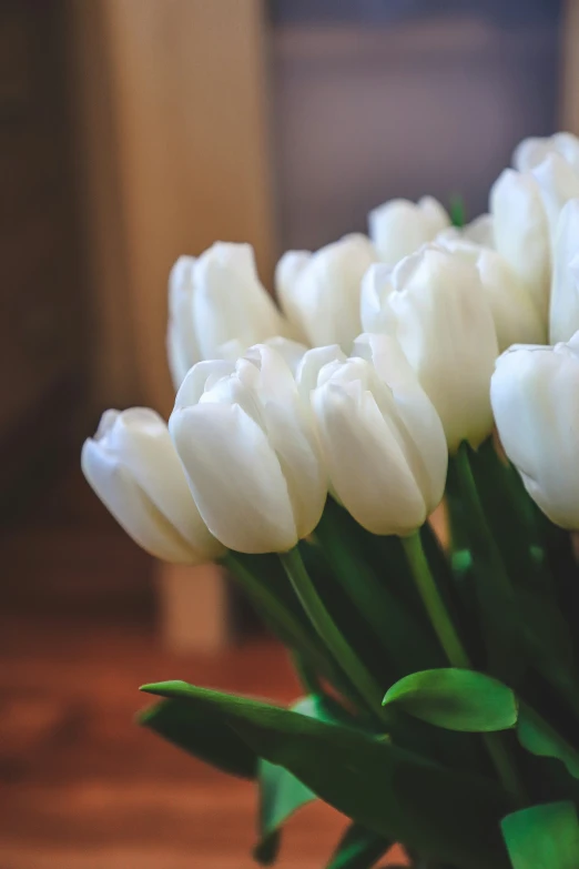 a bouquet of white tulips are on the table