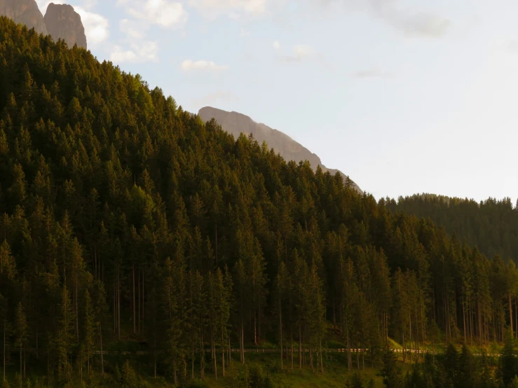 a view of a tree filled forest and mountains